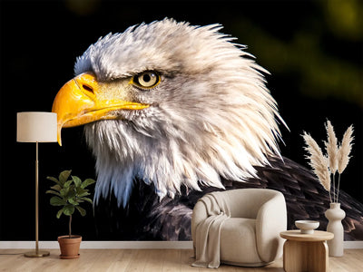 photo-wallpaper-the-eagle-head