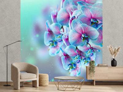 photo-wallpaper-colored-orchids