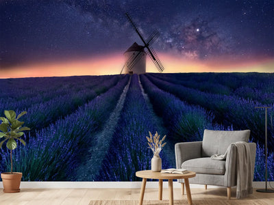 photo-wallpaper-lavender-night-x