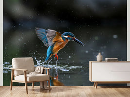 photo-wallpaper-kingfisher-rising-from-the-water-with-glittering-droplets