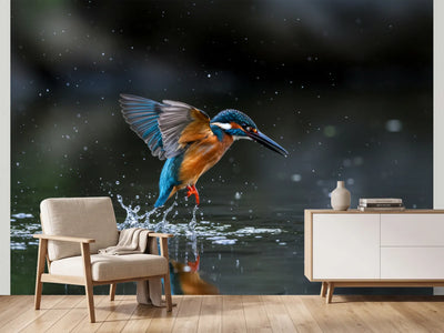 photo-wallpaper-kingfisher-rising-from-the-water-with-glittering-droplets