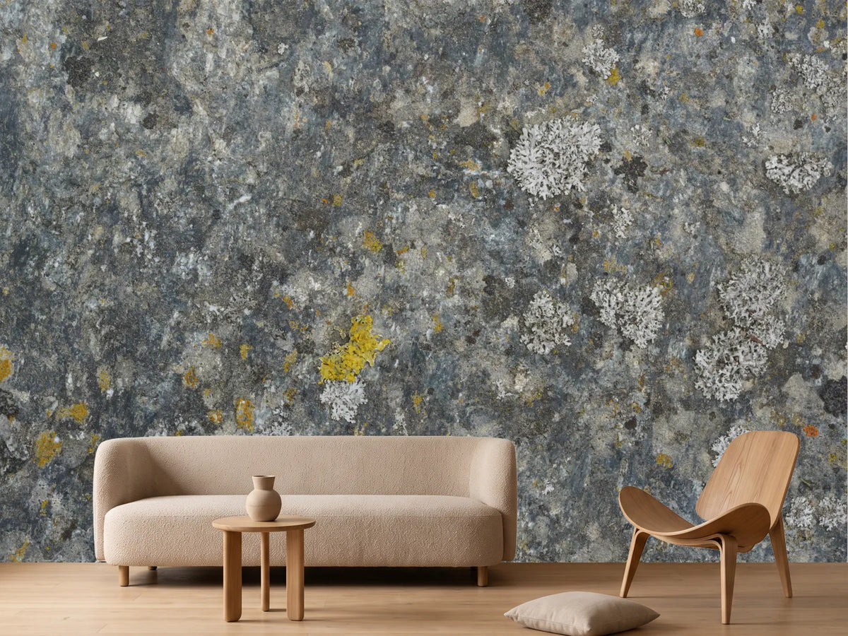 photo-wallpaper-weathered-stone-lichen