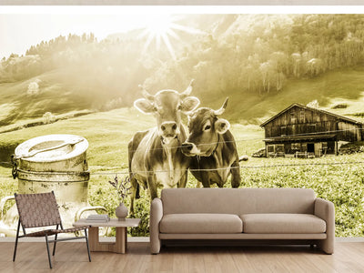 photo-wallpaper-cows-on-the-mountain-pasture