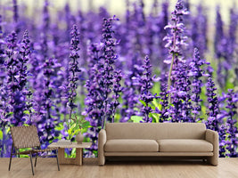photo-wallpaper-xl-lavender