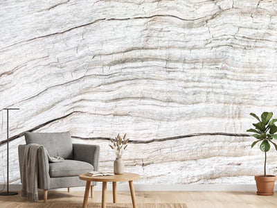 photo-wallpaper-rustic-white-wood-texture