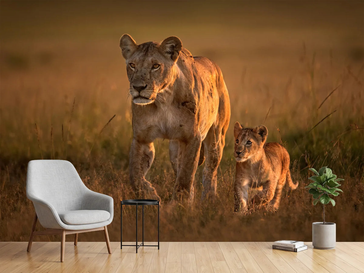 photo-wallpaper-mom-lioness-with-cub-x