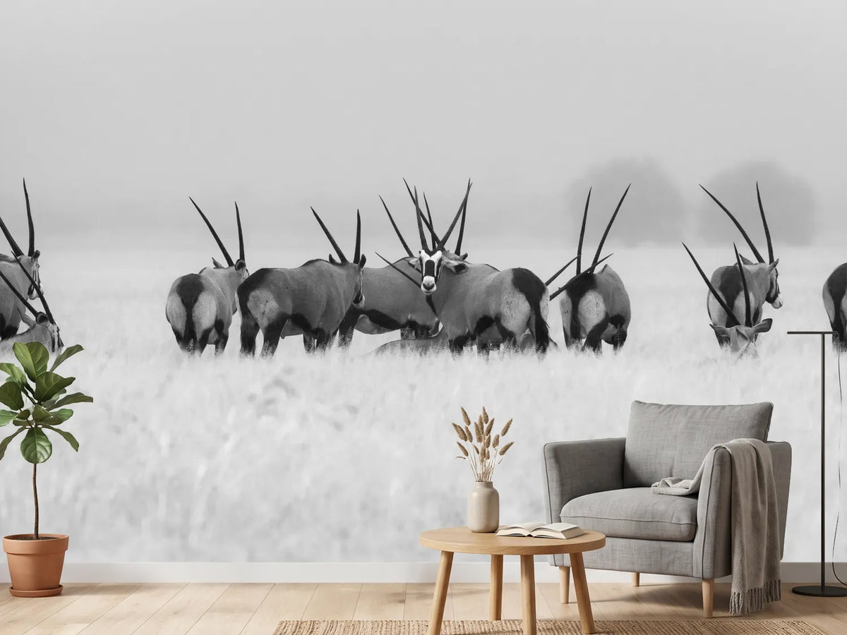 photo-wallpaper-oryx-in-the-rain-x