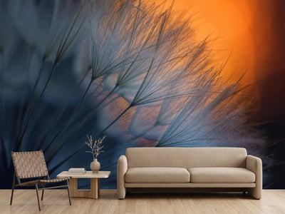photo-wallpaper-feathers-p