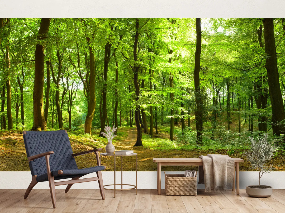 photo-wallpaper-forest-path-in-summer