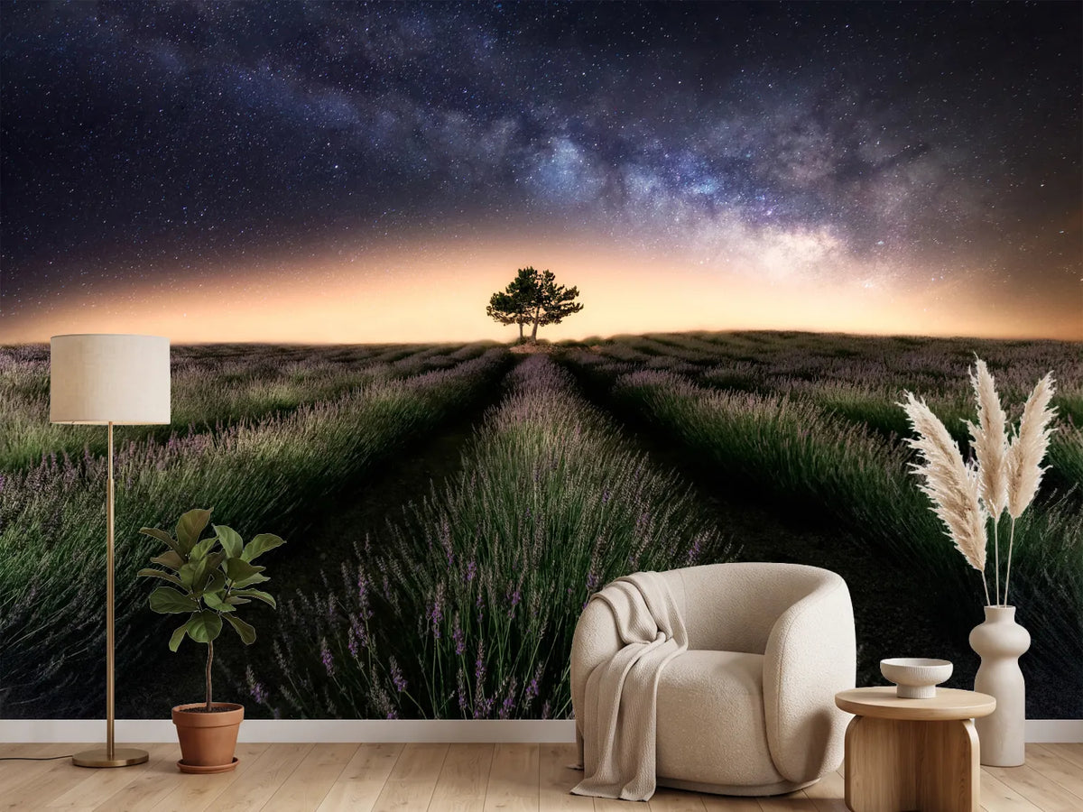 photo-wallpaper-lavender-way