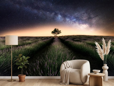 photo-wallpaper-lavender-way