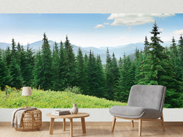 photo-wallpaper-beautiful-pine-trees