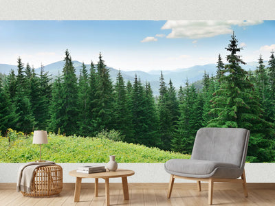 photo-wallpaper-beautiful-pine-trees