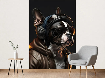 photo-wallpaper-boston-terrier-in-a-leather-jacket-with-aviator-shades-and-headphones