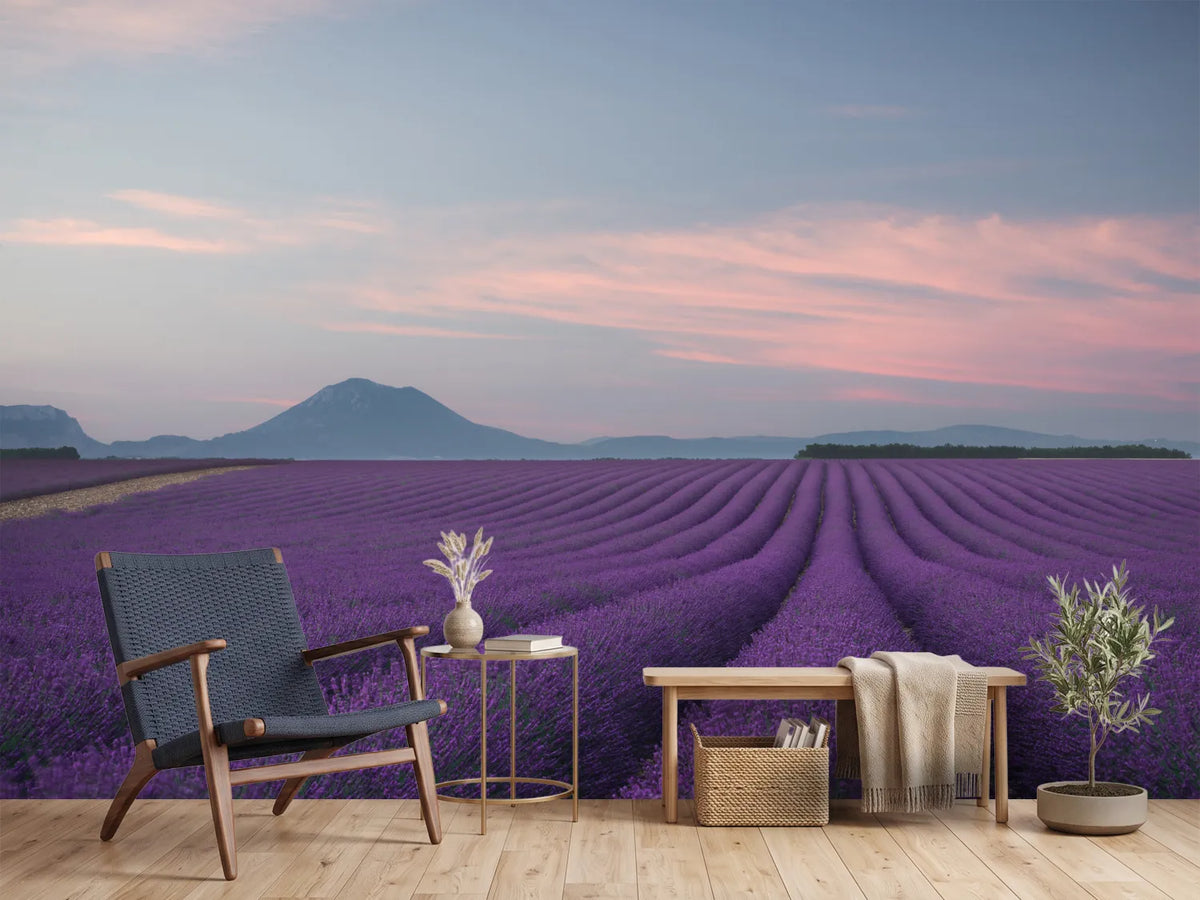 photo-wallpaper-lavender-field