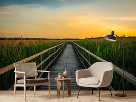 photo-wallpaper-sunset-in-the-fields