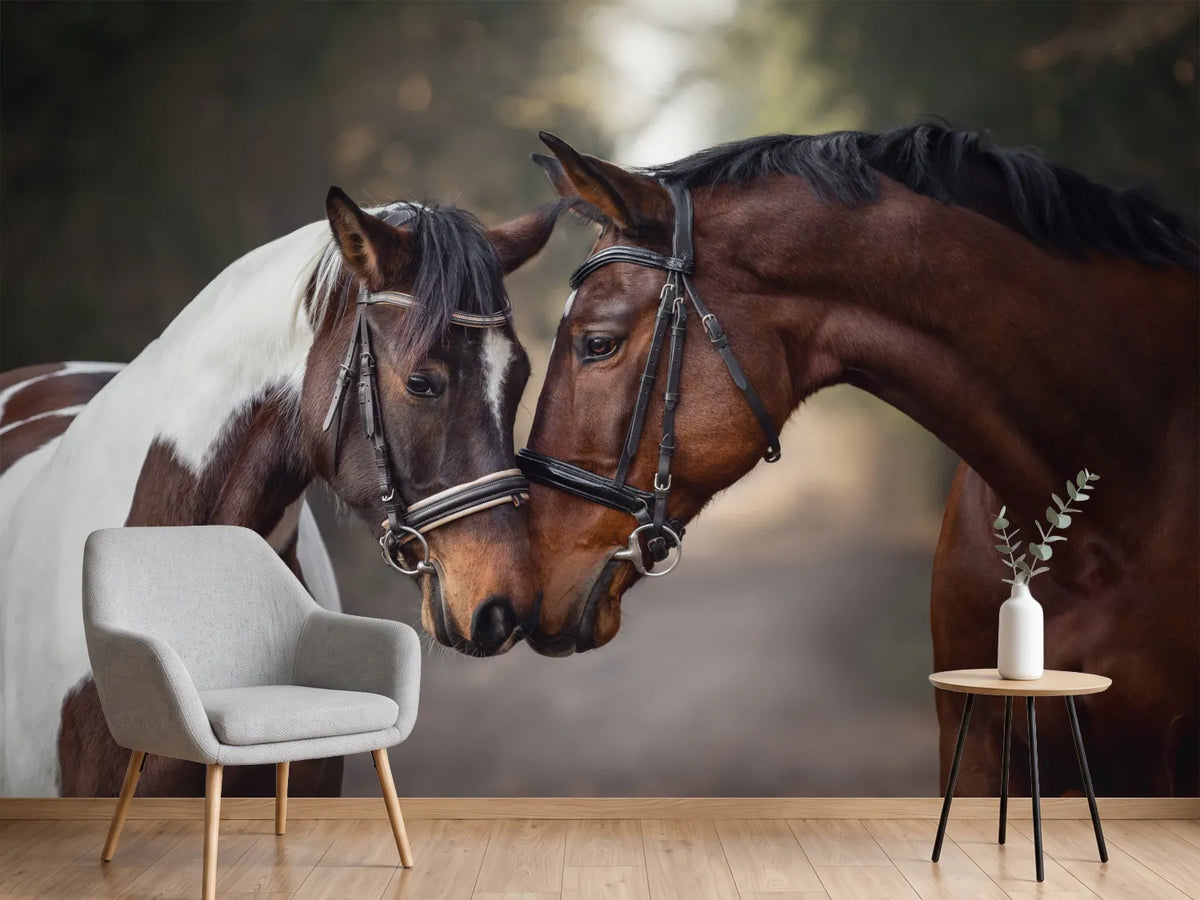 photo-wallpaper-two-horses-nose-to-nose-on-a-woodland-path-in-warm-light