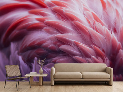 photo-wallpaper-flamingo-xqw