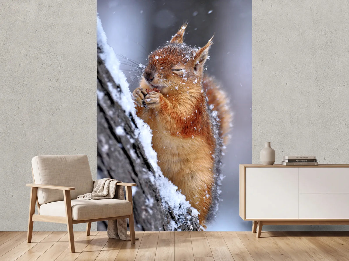 photo-wallpaper-winter-xwg