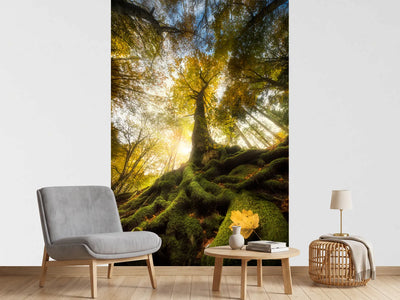 photo-wallpaper-the-goodbye-of-a-leaf