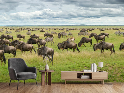 photo-wallpaper-great-migration-in-serengeti-plains-x