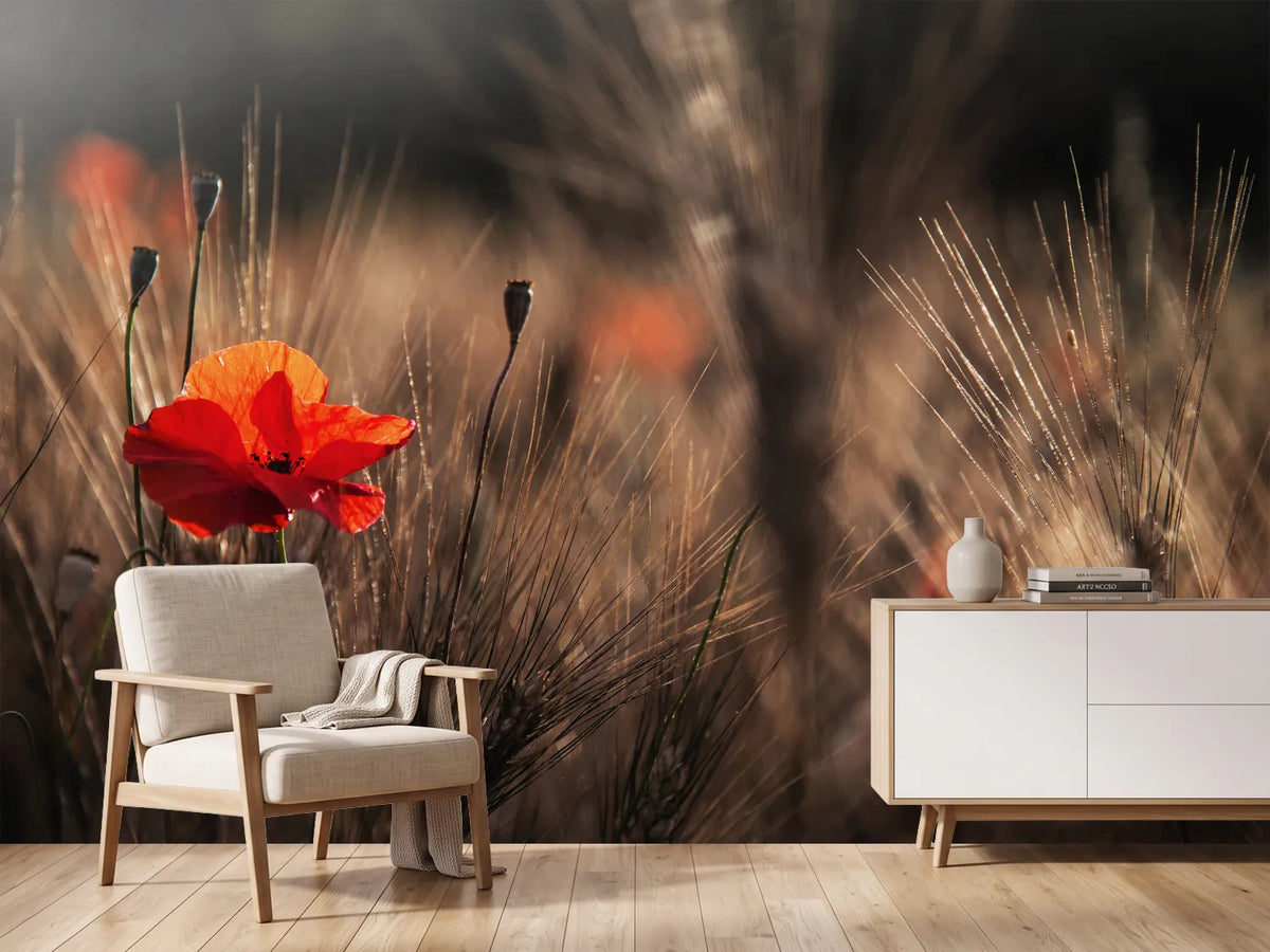 photo-wallpaper-poppy-with-corn-x
