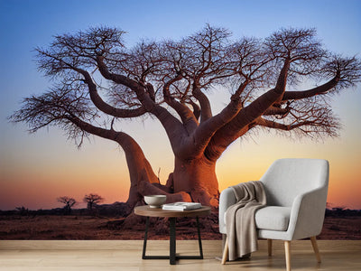 photo-wallpaper-african-baobab-tree-in-the-savannah