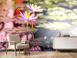 photo-wallpaper-lilies-in-pond