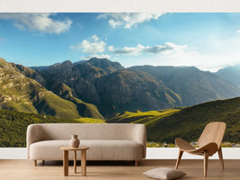photo-wallpaper-beautiful-jonkershoek-nature-reserve