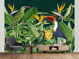 photo-wallpaper-vibrant-jungle-birds