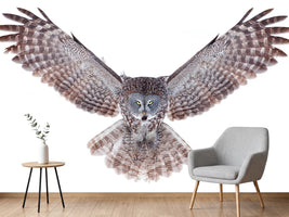 photo-wallpaper-power-great-grey-owl