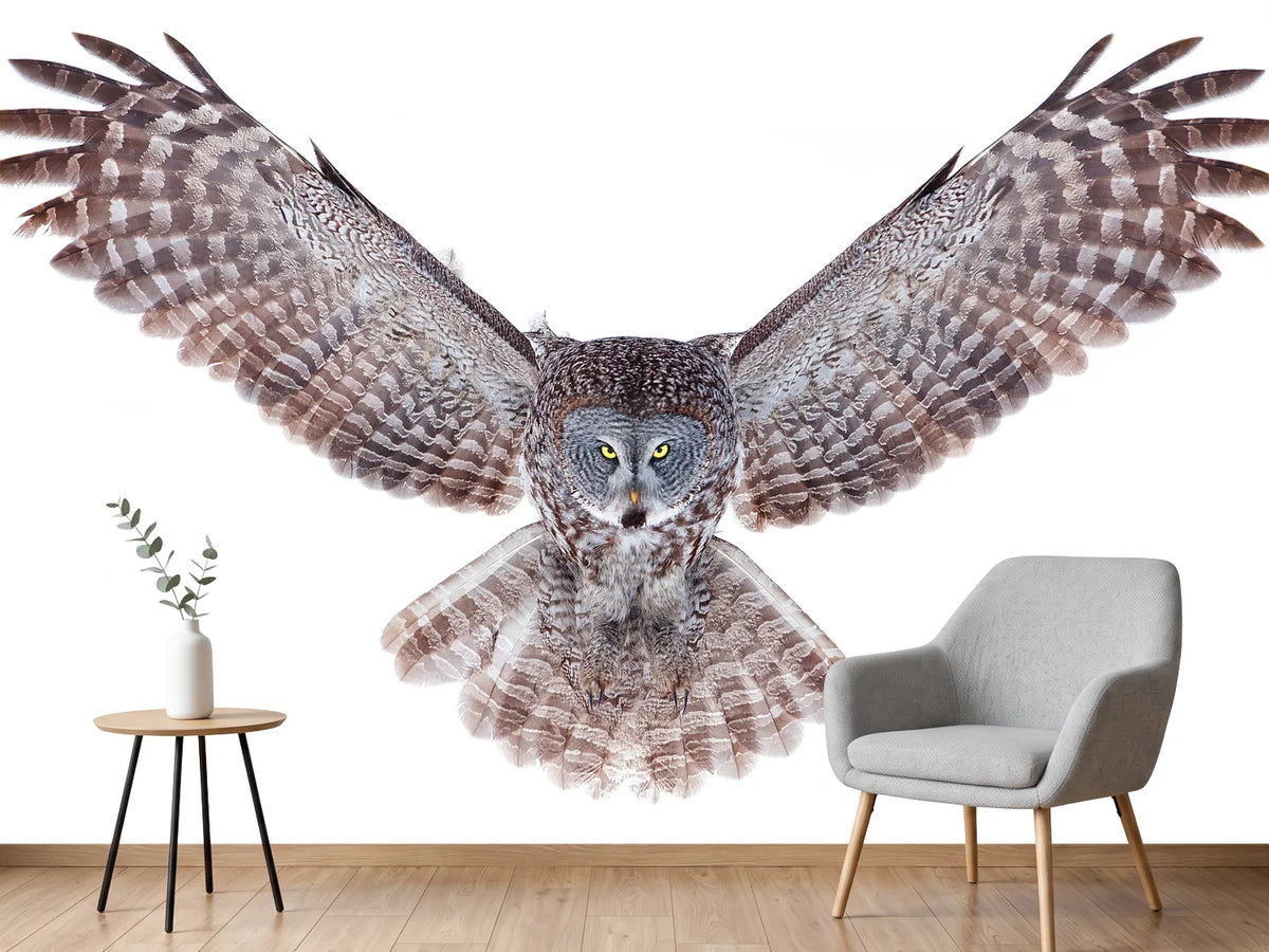 photo-wallpaper-power-great-grey-owl
