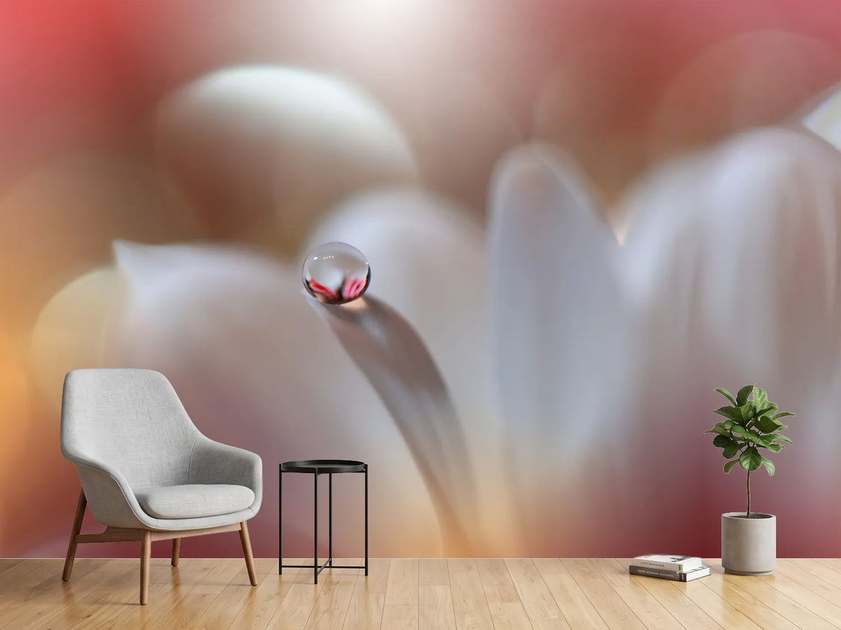 photo-wallpaper-ethereal-petal-drop