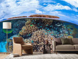 photo-wallpaper-split-level-from-mayotte-reef-x