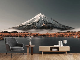 photo-wallpaper-aotearoa-x