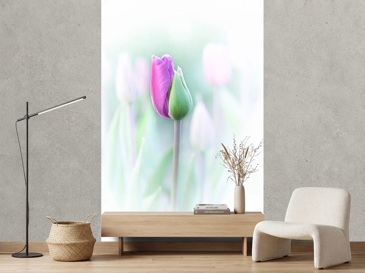 photo-wallpaper-elegant-x
