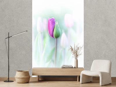 photo-wallpaper-elegant-x