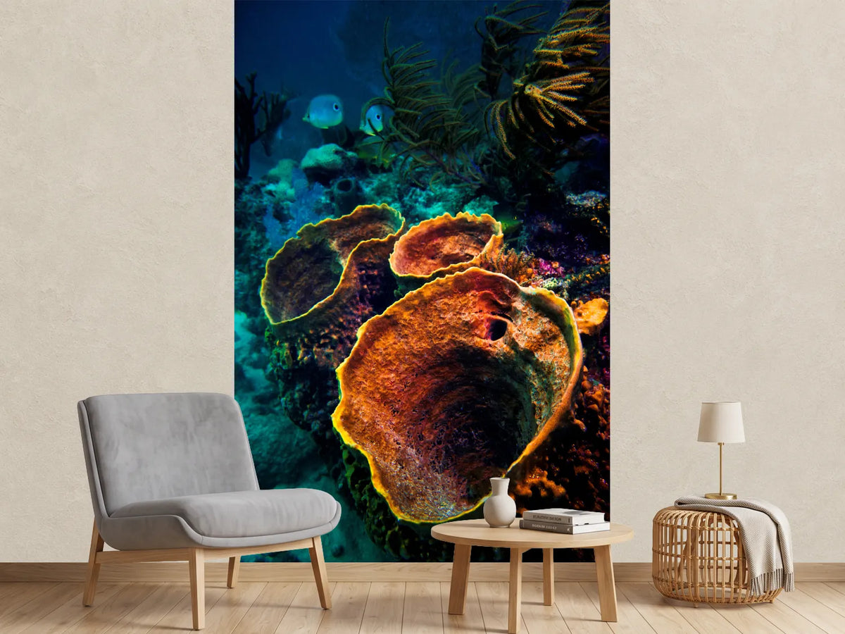 photo-wallpaper-coral-vulcanos