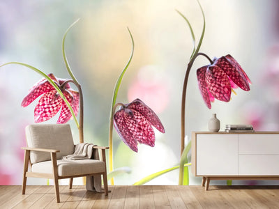 photo-wallpaper-snakes-head-fritillary-x