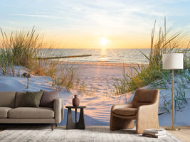 photo-wallpaper-sunset-on-the-baltic-sea