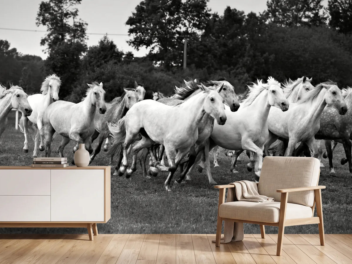 photo-wallpaper-the-mustang-herd