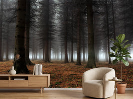 photo-wallpaper-place-of-silence-x