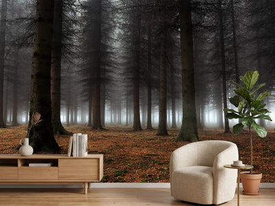 photo-wallpaper-place-of-silence-x