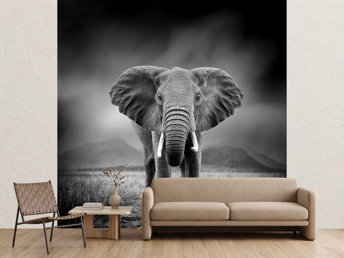 photo-wallpaper-black-and-white-image-of-a-elephant