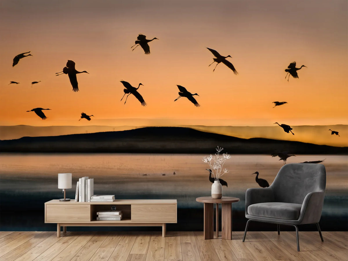 photo-wallpaper-fly-in-at-sunset