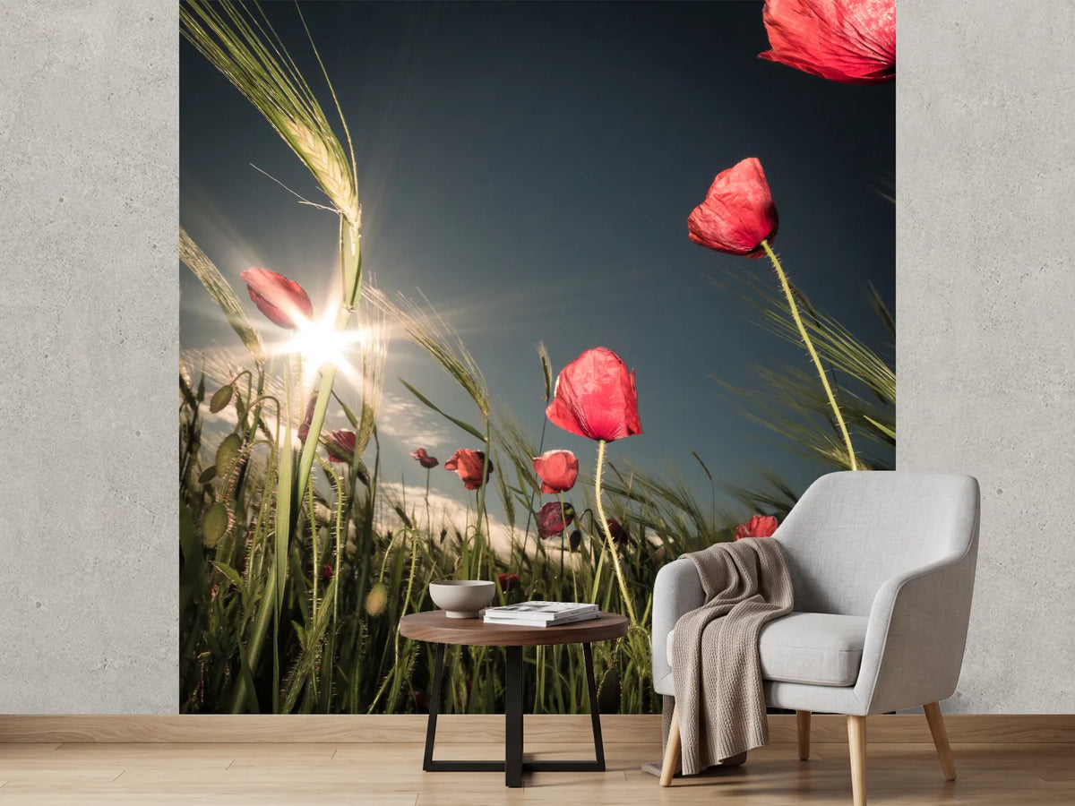 photo-wallpaper-summer-is-here-x