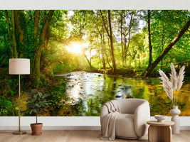 photo-wallpaper-stream-through-the-forest-in-the-bright-light-of-the-sun