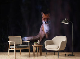 photo-wallpaper-glances
