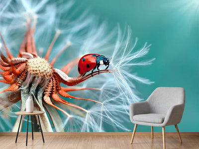 photo-wallpaper-freedoom