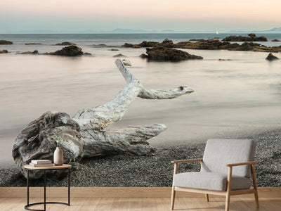 photo-wallpaper-serene-coastal-driftwood